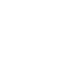 Alchemy Pay